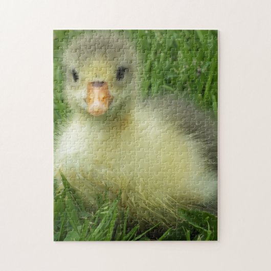 Gänseküken Puzzle (Vertikal)