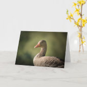 Gänsenatur-Foto Karte (Gelbe Blume)