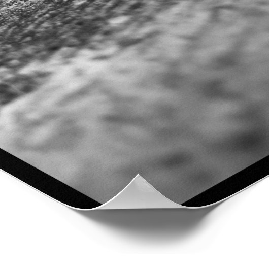 Gänseposter Poster (Ecke)