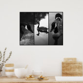 Gänseposter Poster (Küche)