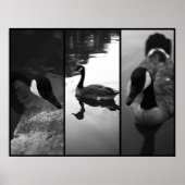 Gänseposter Poster (Vorne)