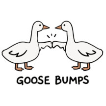 Gänsepumpen