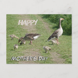 Gänserfamilie Happy Mother Day Postcard Feiertagspostkarte