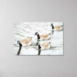 Gänseschwimmen Leinwanddruck