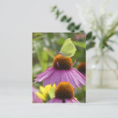 Gänsesteine-Schmetterling auf Blume-DIY Postkarte (Stehend Vorderseite)