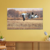 Gänsetrio Leinwanddruck (Insitu (Wohnzimmer))