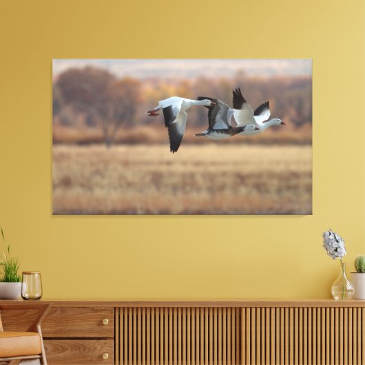 Gänsetrio Leinwanddruck (Insitu (Wohnzimmer))