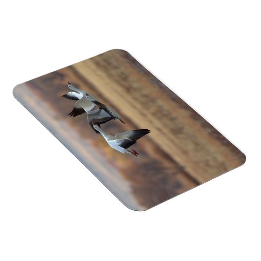 Gänsetrio Magnet (Rechte Seite)