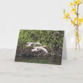 Gänsevogel Karte (Gelbe Blume)