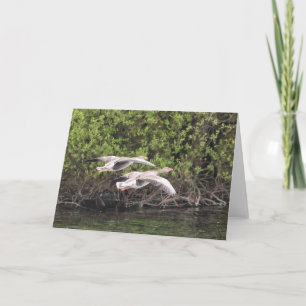 Gänsevogel Karte