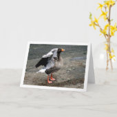 Gänsevögelportrait Karte (Gelbe Blume)