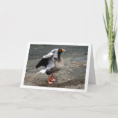 Gänsevögelportrait Karte (Vorderseite)