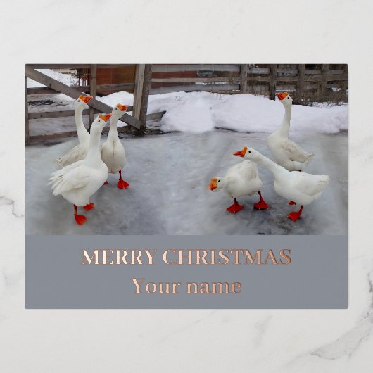 Gänseweiß Folien Feiertagspostkarte (Vorderseite)