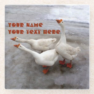 Gänseweiß Glasuntersetzer