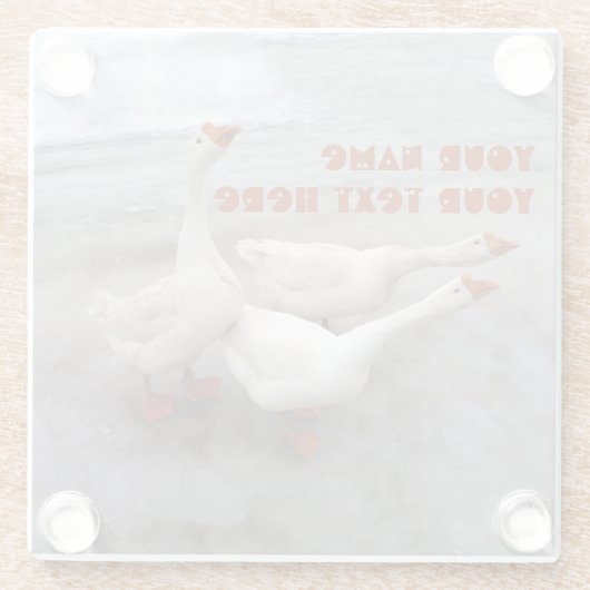 Gänseweiß Glasuntersetzer (Rückseite)