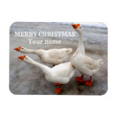 Gänseweiß Magnet (Horizontal)