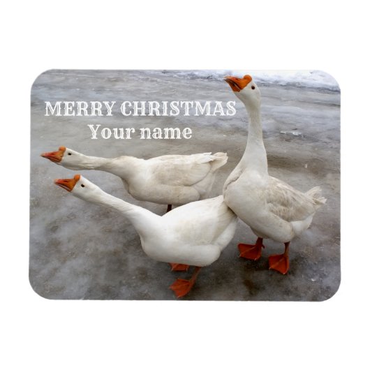 Gänseweiß Magnet (Horizontal)