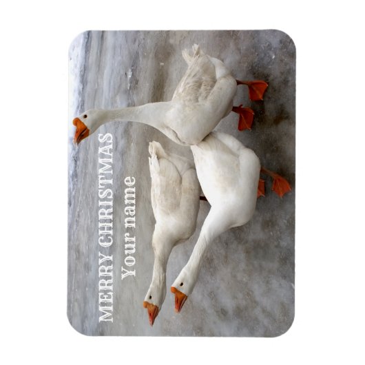 Gänseweiß Magnet (Vertikal)