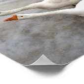 Gänseweiß Poster (Ecke)