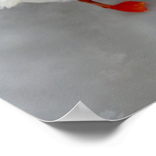 Gänseweiß Poster (Ecke)