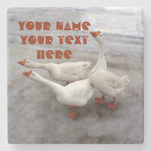 Gänseweiß Steinuntersetzer