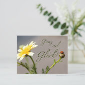 Ganz viel Glück - mit Marienkäfer! Postkarte (Stehend Vorderseite)