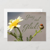 Ganz viel Glück - mit Marienkäfer! Postkarte (Vorne/Hinten)