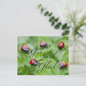 Ganz viel Glück - mit Marienkäfern! Postkarte (Stehend Vorderseite)