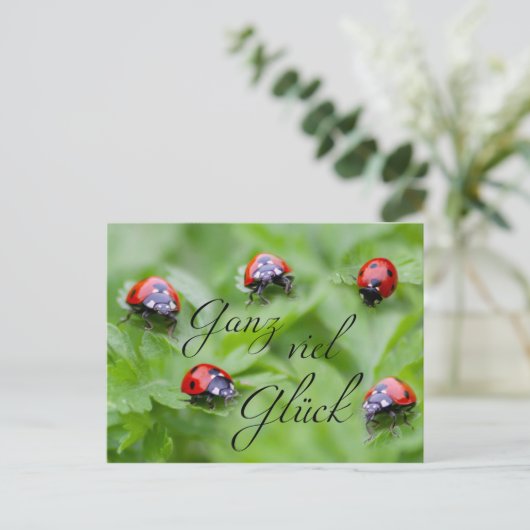Ganz viel Glück - mit Marienkäfern! Postkarte (Stehend Vorderseite)