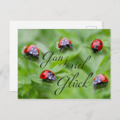 Ganz viel Glück - mit Marienkäfern! Postkarte (Vorne/Hinten)