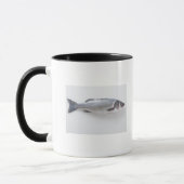 Ganze branzini Fische Tasse (Links)