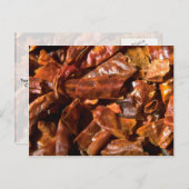 Ganze Kilien Postkarte (Vorne/Hinten)