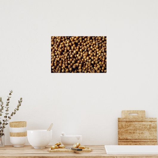 ganze Koriander Poster (Küche)