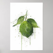 Ganze Limette Frucht Poster (Vorne)