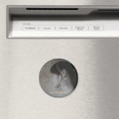 ganze magnet (In Situ (Geschirrspüler))