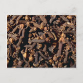 ganze Nelken Postkarte (Vorderseite)