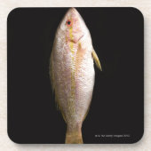 Ganzer Wolfsbarsch Untersetzer (Vorderseite)