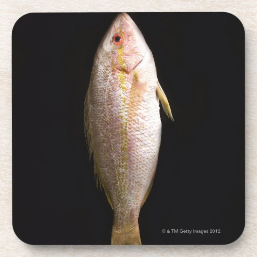 Ganzer Wolfsbarsch Untersetzer (Vorderseite)