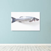 Ganzer Zwergfisch Leinwanddruck (Insitu (Holzboden))