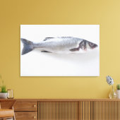 Ganzer Zwergfisch Leinwanddruck (Insitu (Wohnzimmer))