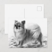Ganzes Chihuahua Handgemälde Postkarte (Vorne/Hinten)