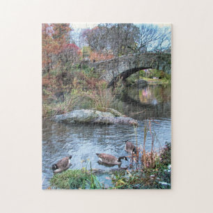 Gapstow Bridge, Central Park New York Puzzle