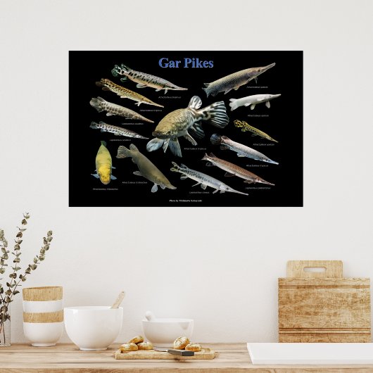 Gar Pikes Poster (Küche)