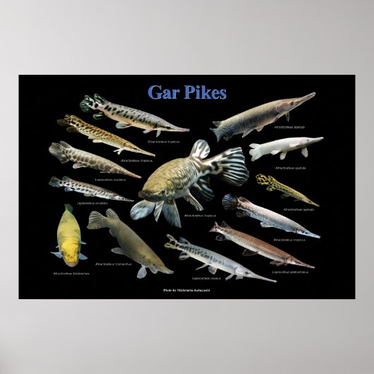 Gar Pikes Poster (Vorne)