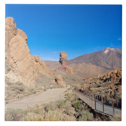 Garcia Fliese (Vorderseite)