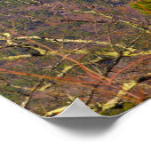 Gardasee, Arkansas Poster (Ecke)