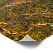 Gardasee, Arkansas Poster (Ecke)