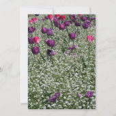 Garden 1 Tulips Gedenkfeier Ankündigung (Rückseite)