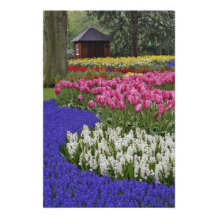 Garden aus Traubentrester, Hyazinthen und Tulpen, Fotodruck