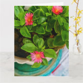 Garden Baby Sun Rose Pflanze in Pot geflochtene Be Karte (Gelbe Blume)